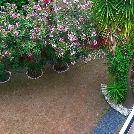 דירות נאוס מרמרס George & Sia'S House חדר תמונה