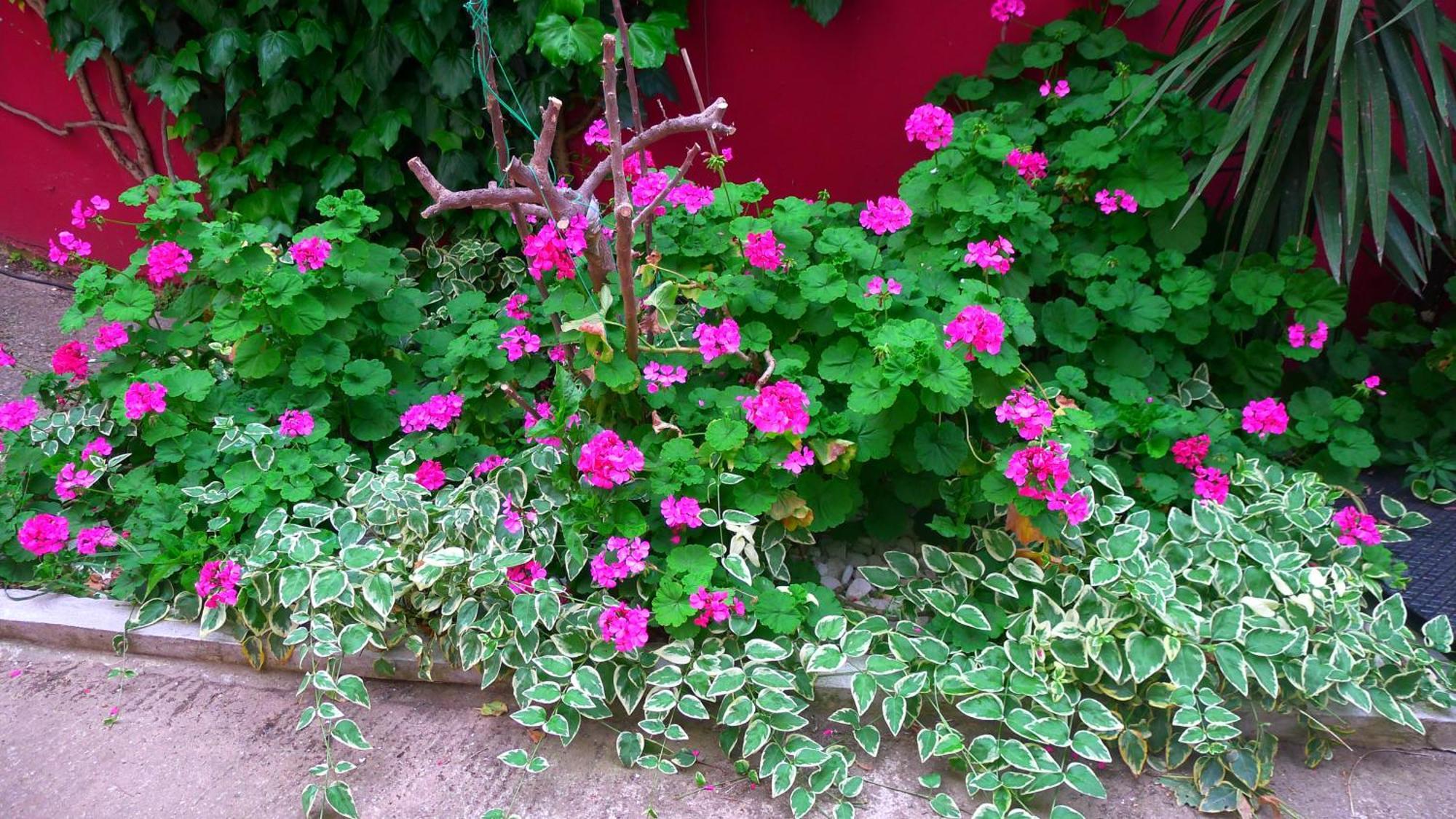 דירות נאוס מרמרס George & Sia'S House חדר תמונה