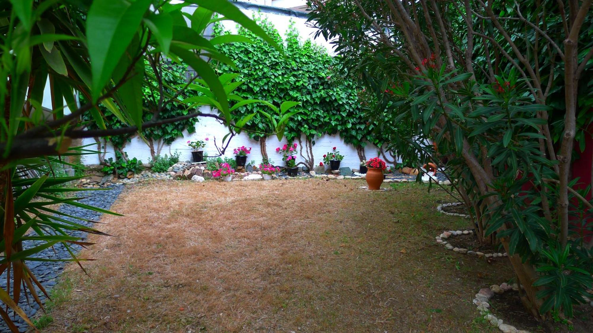 דירות נאוס מרמרס George & Sia'S House חדר תמונה